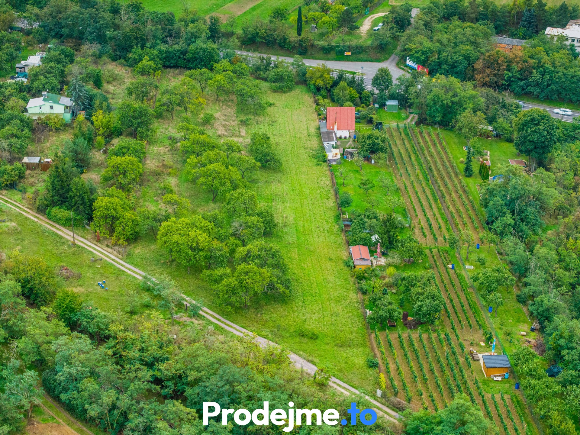 Ostatní