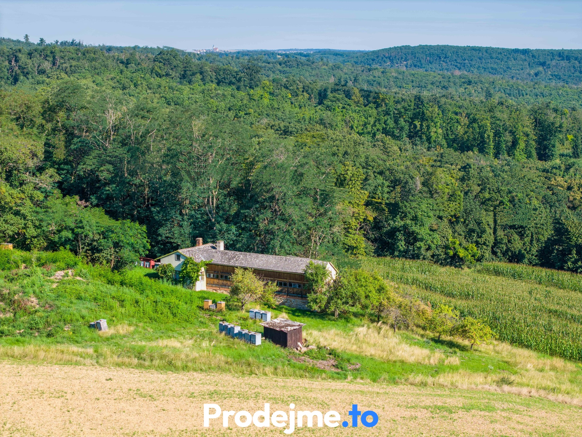 Ostatní